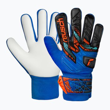 Vaikiškos vartininko pirštinės Reusch Attrakt Starter Solid Junior electric blue/shocking orange