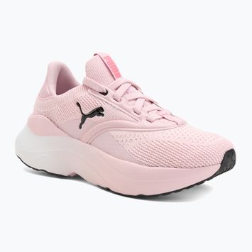 Moteriški bėgimo batai PUMA Softride Mayve rose mauve/puma black/sun struck