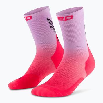 Vyriškos kompresinės kojinės CEP Run Edt. Gradient Mid Cut Compression 5.0 pink/lilac fade