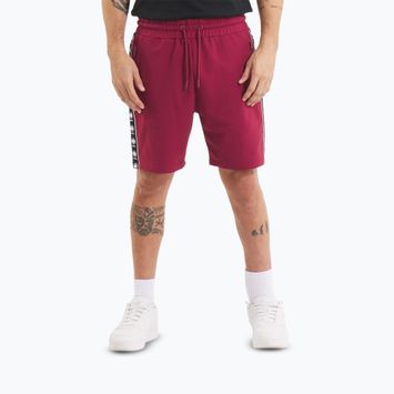 Vyriški šortai Pitbull Tape Nugget burgundy