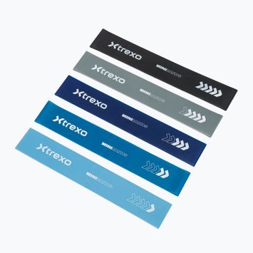 Pasipriešinimo gumų rinkinys XTREXO 5 Mini Power Band resistance band 5 pcs. multicolor