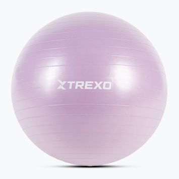 Gimnastikos kamuolys XTREXO TXO-B4Z008-VT 65 cm violetinis