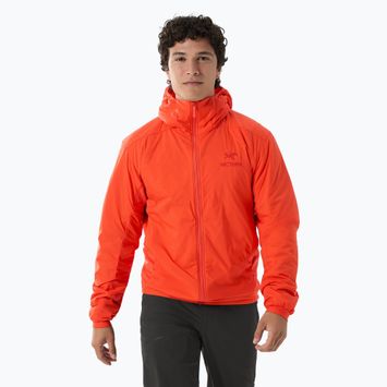 Vyriška pašiltinta striukė Arc'teryx Atom Hoody solaris