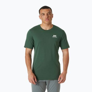 Vyriški marškinėliai Helly Hansen Nord Graphic jungle green