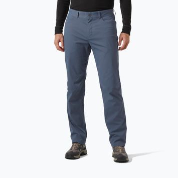 Vyriškos žygio kelnės Helly Hansen Holmen 5 Pocket alpine frost