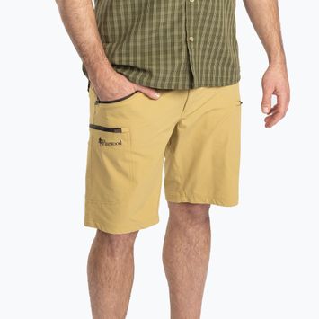Vyriški žygio šortai Pinewood Abisko Light Stretch golday hay