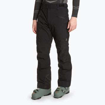 Vyriškos slidinėjimo kelnės Peak Performance Navtech black