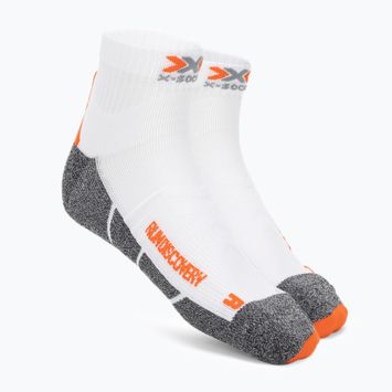 Vyriškos kojinės X-Socks Run Discovery 4.0 arctic white/dolomite grey