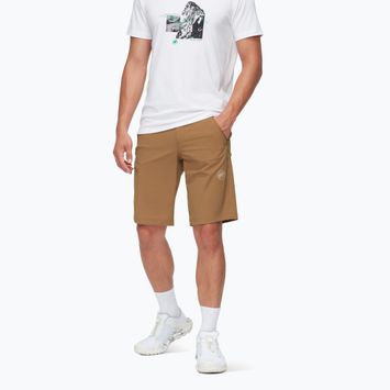 Vyriški žygio šortai Mammut Runbold IV claystone