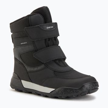 Vaikiški sniego batai Geox Trekkyup ABX black/ silver