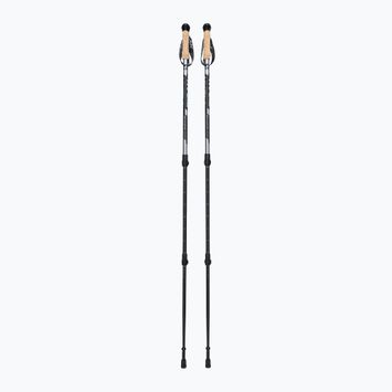 Fizan Adventure trekingo lazdos pilkos spalvos S20 7503