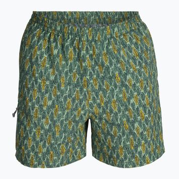 Vyriškos žygio kelnės Royal Robbins All-In algae flash pt