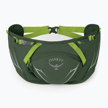 Rankinė ant juosmens Osprey Duro Dyna 2 l seaweed green/limon