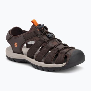 Vyriškos basutės Joma Gea brown