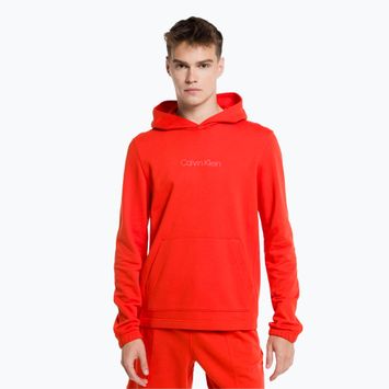 Calvin Klein vyriški džemperiai su gobtuvu XNZ Hazard