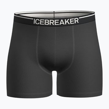 Vyriškos termoaktyvios trumpikės icebreaker Anatomica plume jet heather