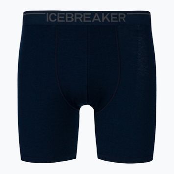 Vyriški termo boksininko šortai Icebreaker Anatomica navy