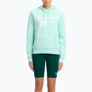 Moteriškas džemperis Reebok Identity Big Logo Fleece glitch aqua