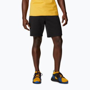 Vyriški Columbia Logo Fleece trekingo šortai juodi 1884601010