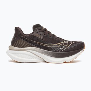 Moteriški bėgimo batai Saucony Endorphin Azura torte
