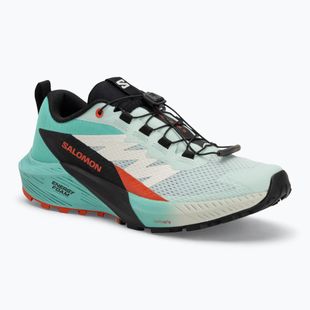 Moteriški bėgimo batai Salomon Sense Ride 5 bay/black/cherry tomato