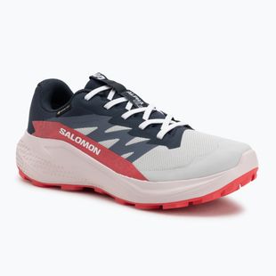 Moteriški bėgimo bateliai Salomon Alphaglide GTX lunar rock/blue night/rouge red
