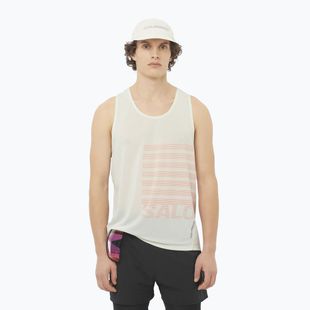 Vyriškas bėgimo tank topas Salomon Sense Aero Singlet GFX icicle