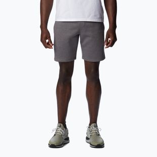 Vyriški Columbia Logo Fleece pilki trekingo šortai 1884601023