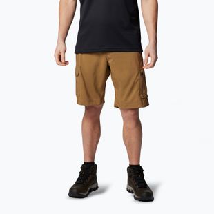 Vyriški žygio šortai Columbia Silver Ridge Utility Cargo delta