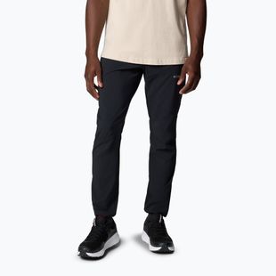 Vyriškos softshell kelnės Columbia Tech Softshell black