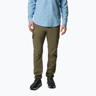 Vyriškos žygio kelnės Columbia Skien Valley Cargo stone green