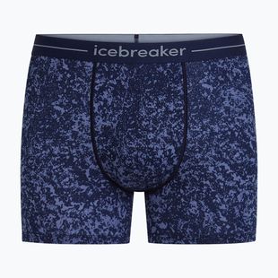 Vyriškos termoaktyvios trumpikės Icebreaker Merino 150 Anatomica Moss Bloom midnight navy/aop