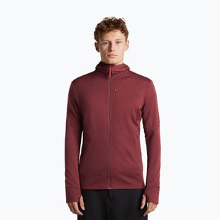 Vyriškas džemperis Icebreaker Merino 260 Quantum IV LS Zip Hoodie port/agate