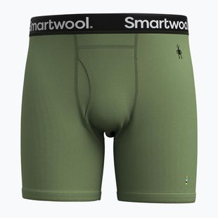 Vyriškos termoaktyvios trumpikės Smartwool Merino Boxer Brief Boxed fern green