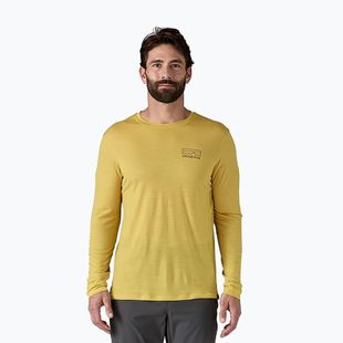 Vyriški marškinėliai ilgomis rankovėmis Patagonia Cap Cool Merino Blend Graphic fitz roy strata/bundle green