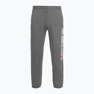 Vyriškos kelnės The North Face Varsity Graphic medium grey heather