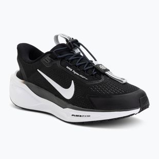 Moteriški bėgimo batai Nike Pegasus EasyOn black/anthracite/photon dust/white