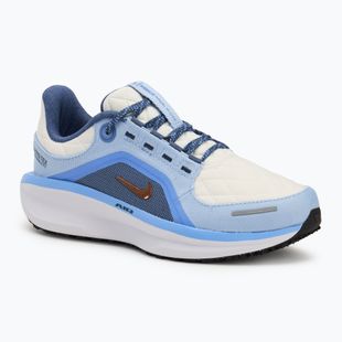 Moteriški bėgimo batai Nike Winflo 11 GORE-TEX phantom/footballgrey/cobaltbliss/metallicredbronze