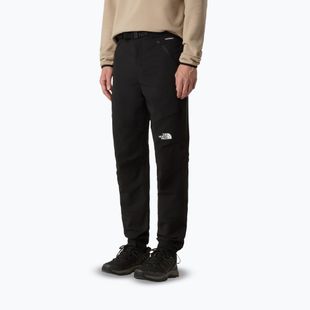 Vyriškos kelnės The North Face Diablo Reg Tapered black