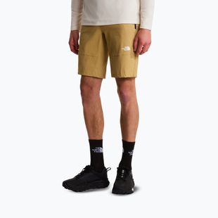 Vyriški žygių šortai The North Face Lightning SHT khaki stone/npf