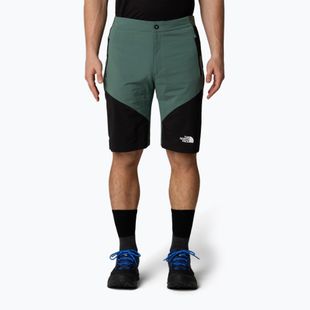 Vyriški žygio šortai The North Face Felik Slim Tapered Short duck green/tnf black