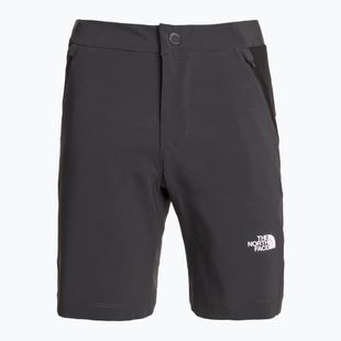 Moteriški žygio šortai The North Face Felik Slim Tapered asphalt grey/tnf black
