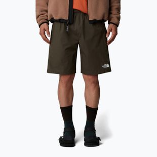 Vyriški šortai The North Face Limestone new taupe green