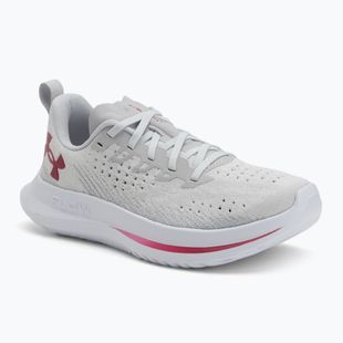 Moteriški bėgimo bateliai Under Armour Velociti 4 SE halo gray/mod gray/shaded fuchsia