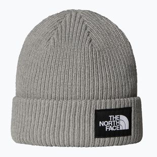 Žieminė kepurė The North Face Salty Lined
