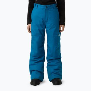Vaikiškos slidinėjimo kelnės The North Face Freedom Insulated dusk blue