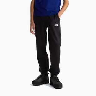 Vyriškos kelnės The North Face Performance Fleece Jogger tnf black