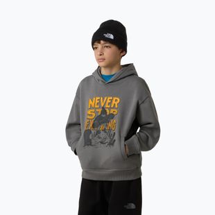 Vaikiškas džemperis The North Face Sports Oversized Hoodie Graphic smoked pearl