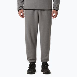Vyriškos kelnės The North Face Glacier Fleece mid grey heather