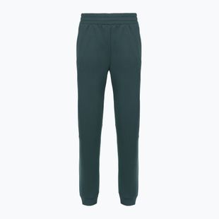 Moteriškos kelnės The North Face Mountain Athletics Fleece deep cypress/space